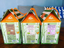 画像をギャラリービューアに読み込む, LUNARIA Malvasia24 ルナーリア マルヴァジア