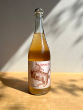 画像をギャラリービューアに読み込む, MEINKLANG Weißer Mulatschak 23 マインクラング ヴァイサー ムラチャック23