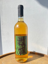 画像をギャラリービューアに読み込む, MARIA BORTOLOTTI MAMOLO PIGNOLETO 24 マリア・ボルトロッティ マモロ・ピニョレット 2024