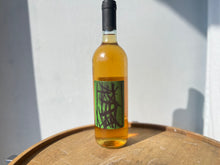 画像をギャラリービューアに読み込む, MARIA BORTOLOTTI MAMOLO PIGNOLETO 24 マリア・ボルトロッティ マモロ・ピニョレット 2024