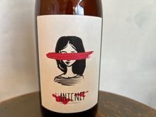 画像をギャラリービューアに読み込む, DANIS DANS LA VIGNE l'Antenet Rosé Vin de France ダニス・ダン・ラ・ヴィーニュラントネ・ロゼ 2023