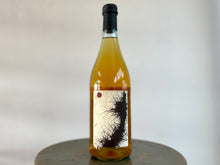 画像をギャラリービューアに読み込む, MARIA BORTOLOTTI FALESTAR PIGNOLETO 24