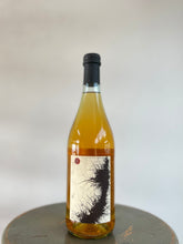 画像をギャラリービューアに読み込む, MARIA BORTOLOTTI FALESTAR PIGNOLETO 24