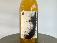 画像をギャラリービューアに読み込む, MARIA BORTOLOTTI FALESTAR PIGNOLETO 24