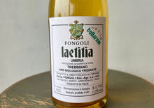 画像をギャラリービューアに読み込む, Fongoli "Laetitia Bullarum" IGT 21 フォンゴリ “ラエティティア ブッラルム" 21