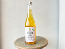 画像をギャラリービューアに読み込む, Fongoli "Laetitia Bullarum" IGT 21 フォンゴリ “ラエティティア ブッラルム" 21