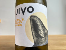 画像をギャラリービューアに読み込む, FOLIAS DE BACO UIVO MOSCATEL GALEGO BRANCO 21 フォリアス・デ・バコ ウィヴォ モスカテル・ガレゴ ブランコ 2021